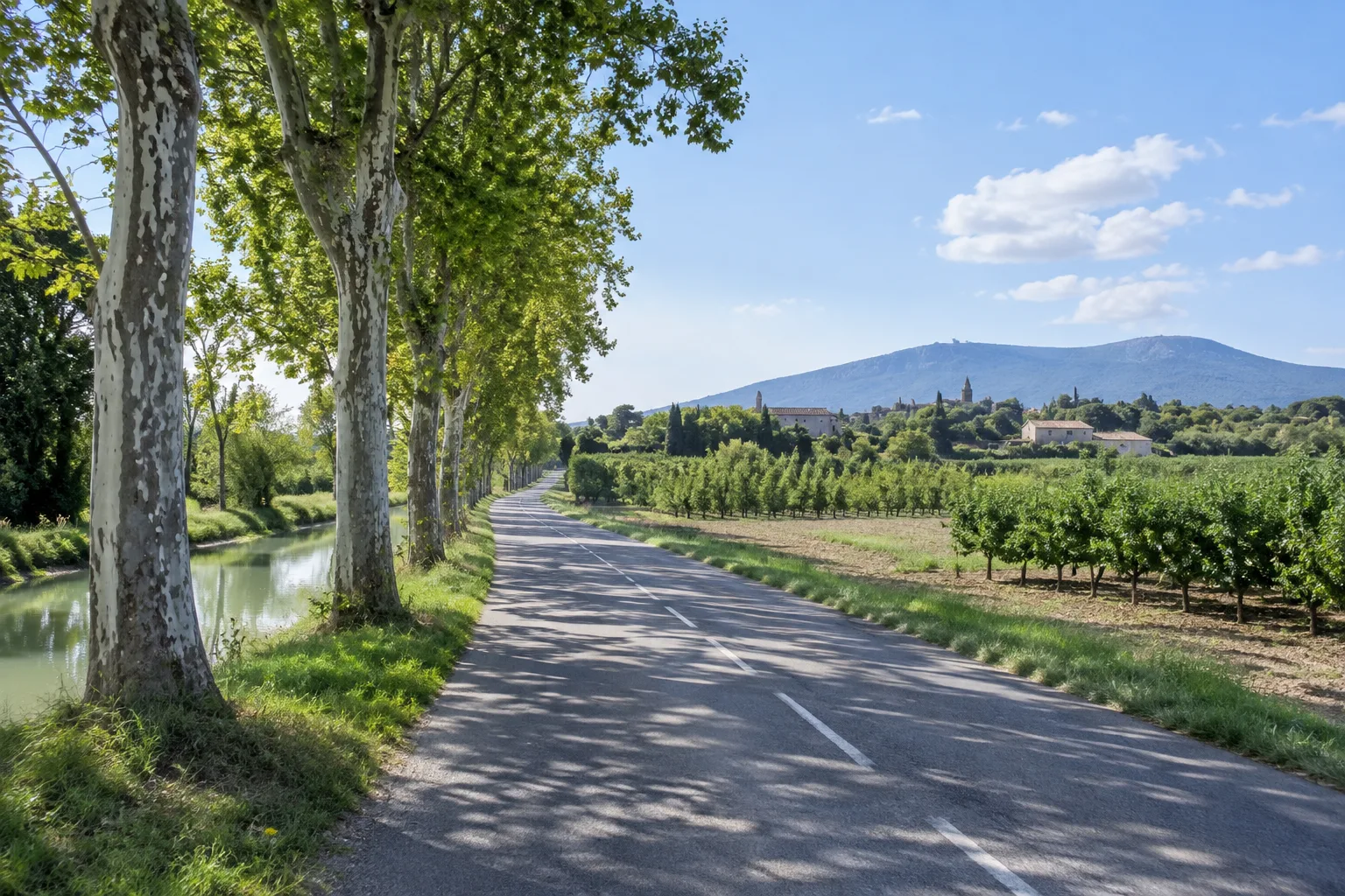 Une route du Comtat traverse des vergers, tandis qu’un canal d’irrigation apparaît derrière une rangée d’arbres.