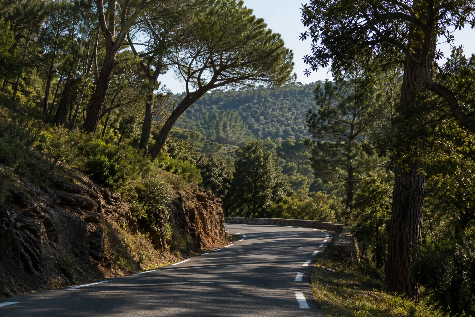 Route sinueuse bordée d’arbres dans les reliefs boisés du massif des Maures.