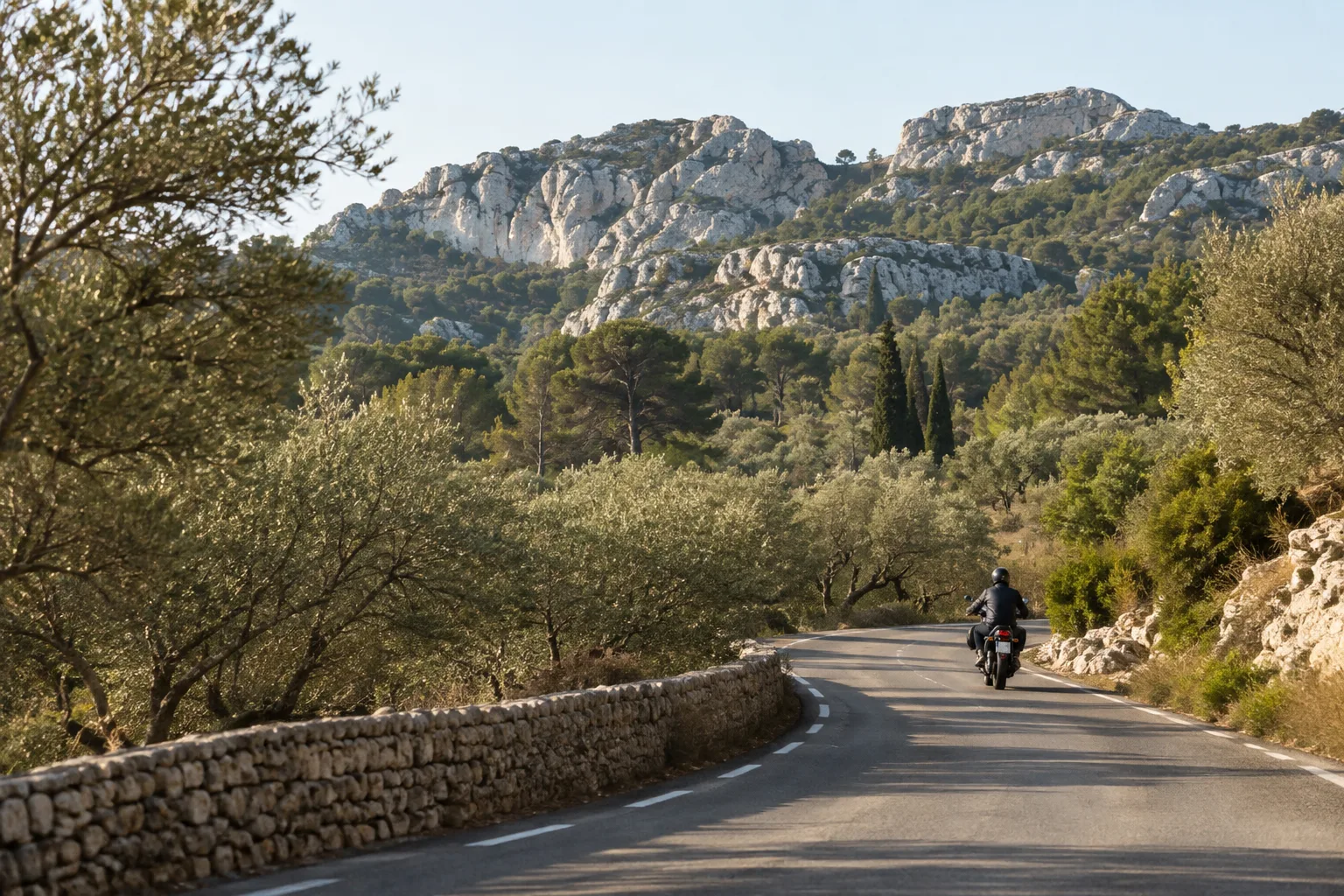 Un motard roule sur une petite route bordée d’oliviers, avec les reliefs calcaires des Alpilles en arrière-plan.