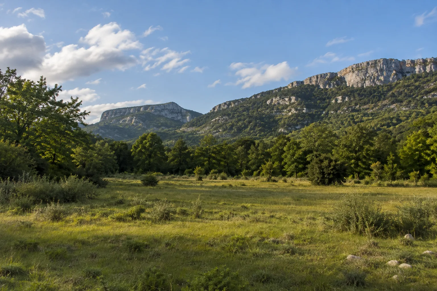 Une clairière et des bois s’étendent sur le plateau du Plan-d’Aups, au pied des reliefs de la Sainte-Baume.